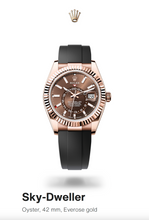 Load image into Gallery viewer, [NEW] Rolex Sky-Dweller 336235-0002 | 42mm • 18KT Everose Gold And Oysterflex
