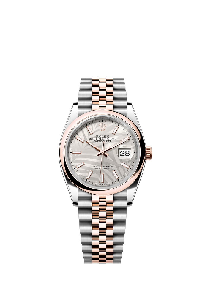 [NEW] Rolex Datejust 36 126201-0031 | 36mm • Oystersteel And Everose Gold
