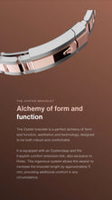 Load image into Gallery viewer, [NEW] Rolex Datejust 41 126301-0019 | 41mm • Oystersteel And Everose Gold
