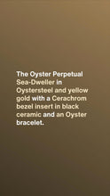 Load image into Gallery viewer, [NEW] Rolex Sky-Dweller 126603-0001 | 42mm • Oystersteel And Yellow Gold
