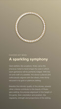 Load image into Gallery viewer, [NEW] Rolex Day-Date 36 128348RBR-0010 | 36mm • 18KT Yellow Gold
