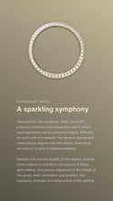 Load image into Gallery viewer, [NEW] Rolex Day-Date 40 228398TBR-0040 | 40mm • 18KT Yellow Gold
