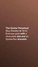 Muatkan imej ke dalam penonton Galeri, [NEW] Rolex Sky-Dweller 336235-0002 | 42mm • 18KT Everose Gold And Oysterflex
