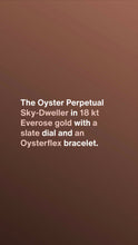 將圖片加載到圖庫查看器中， [NEW] Rolex Sky-Dweller 336235-0004 | 42mm • 18KT Everose Gold And Oysterflex
