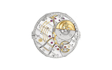 Load image into Gallery viewer, [NEW] Patek Philippe Complications 5235/50R-001
