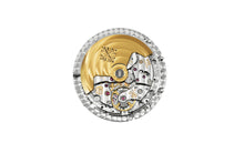 Load image into Gallery viewer, [New] Patek Philippe Complications 7234G-001
