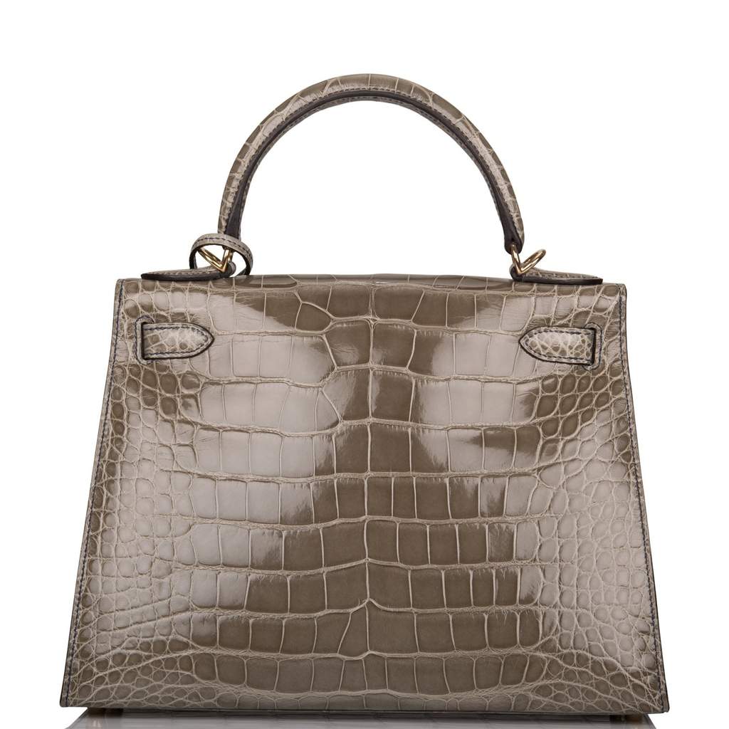 Hermes Kelly 28 Returnee Handbag Gris Tourterelle Special Order Chevre –  Bags Of Personality