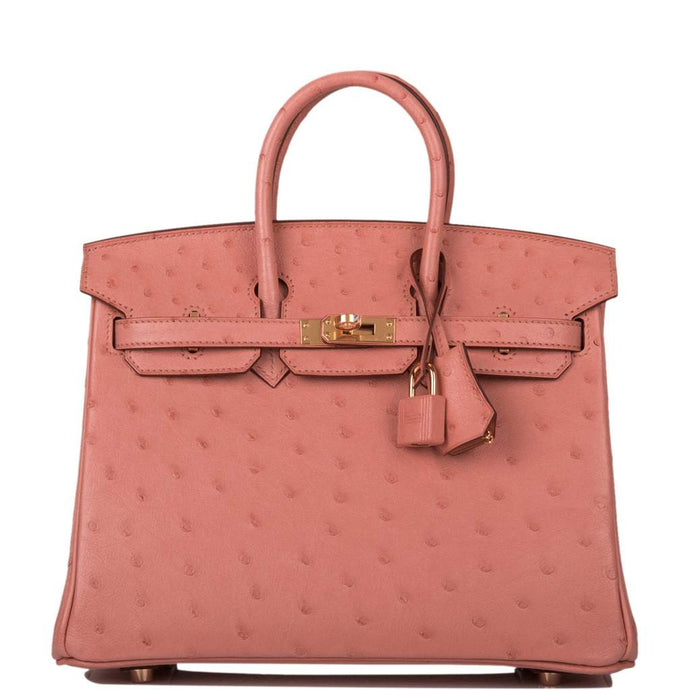 [New] Hermès Terre Cuite Ostrich Birkin 25cm Gold Hardware