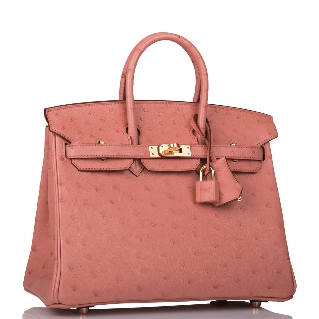 Hermes Birkin Terre Cuite Ostrich with Gold
